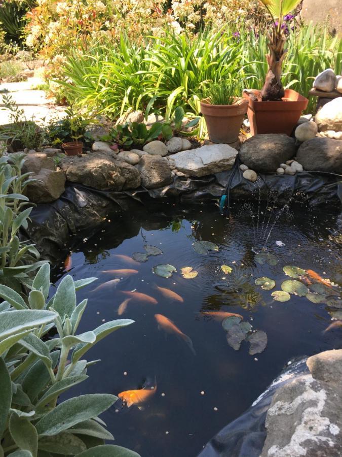 Hébergement de vacances Garden Annexe Villeneuve-Loubet